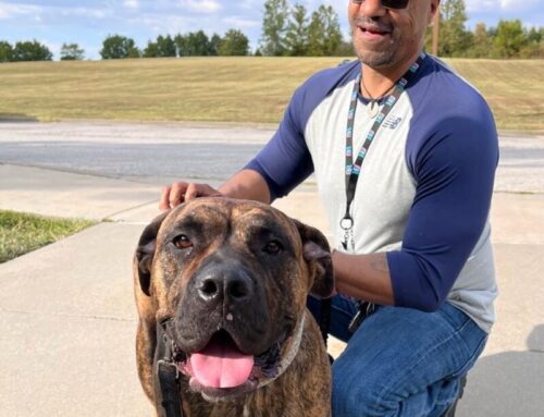 Employee Spotlight: Brince Rogers